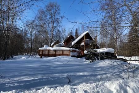 Lazy Bear Retreat At Talkeetna Lodge المظهر الخارجي الصورة